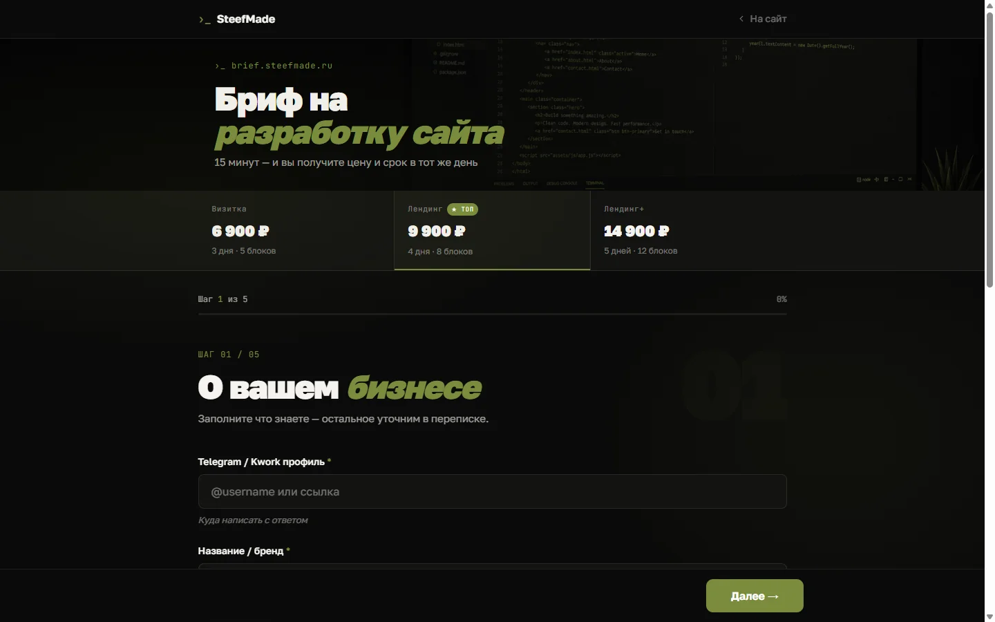 brief.steefmade.ru — wizard-форма брифа